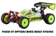 logominizbuggy